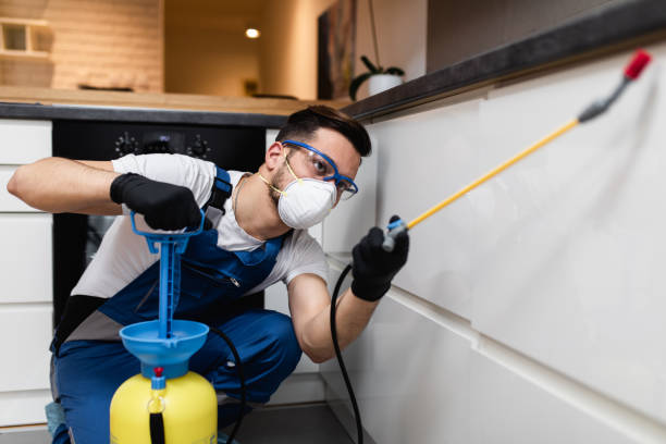 Best Pest Removal Services  in Lopezville, TX