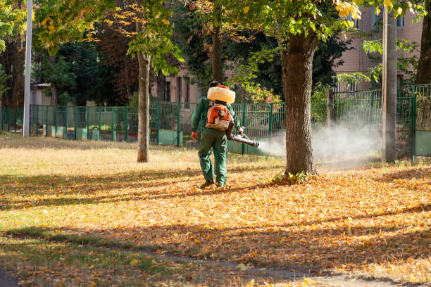Best Rodent Control Near Me  in Lopezville, TX