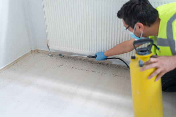 Best Best Pest Control Companies  in Lopezville, TX