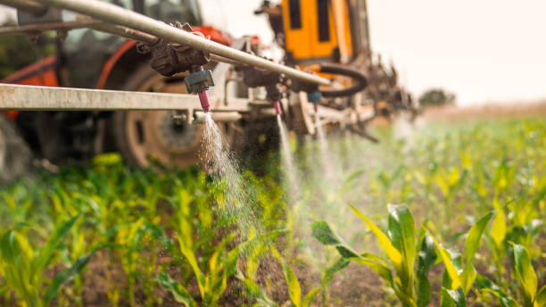 Best Wildlife Control Services  in Lopezville, TX